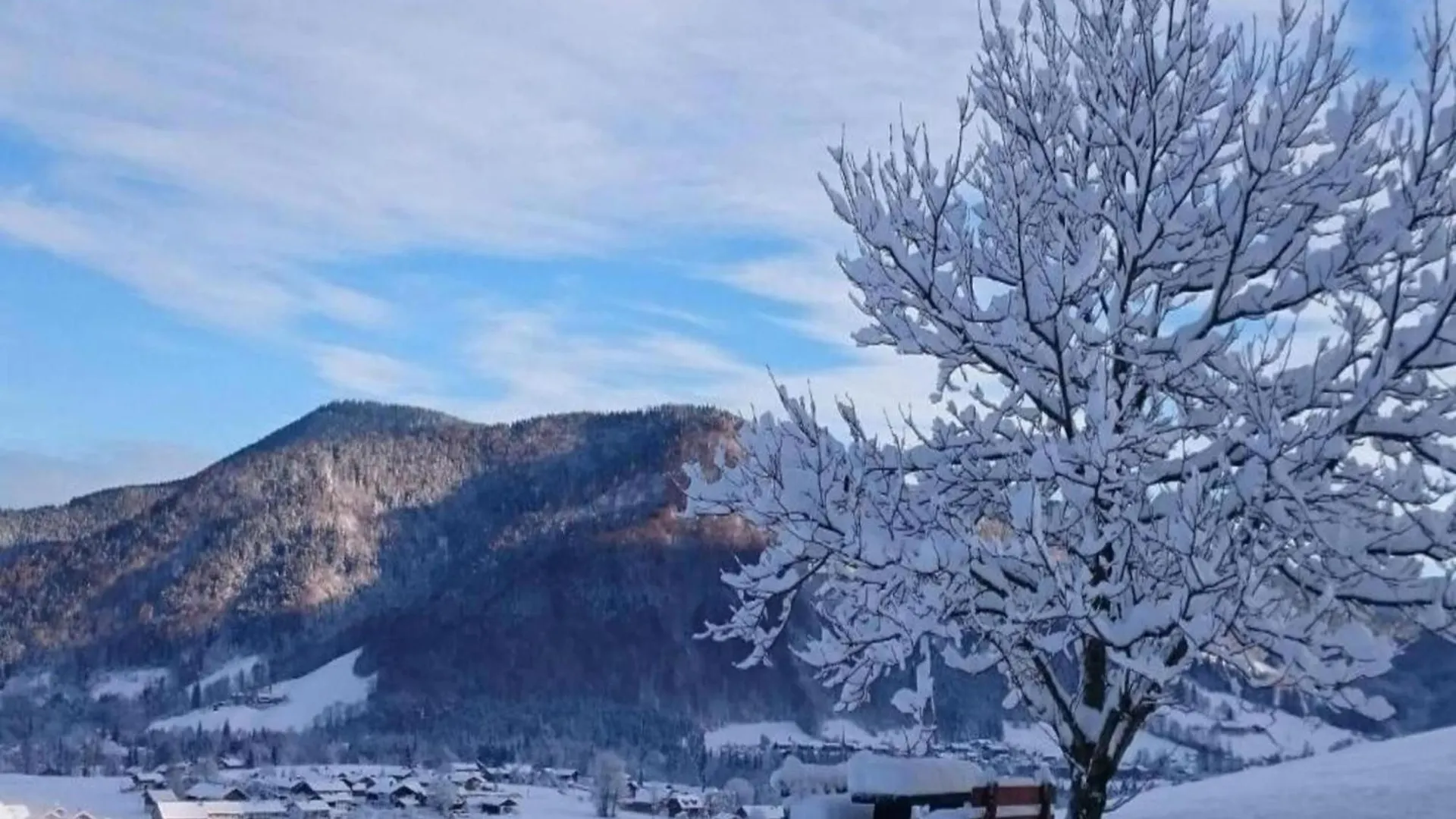 Chic Holiday Home In Ruhpolding With Sauna 德国